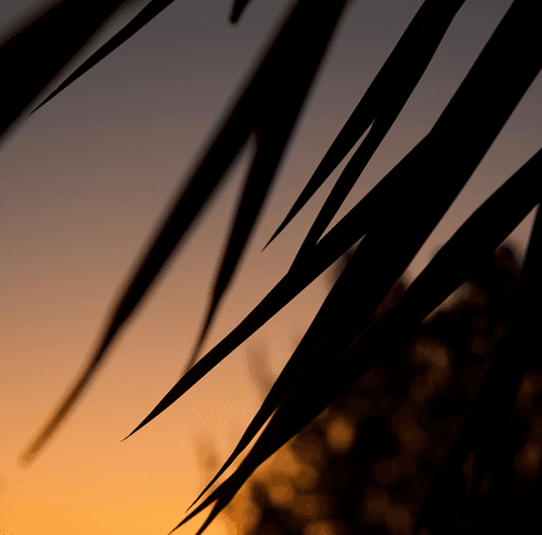 Venture Program Design for Babcock Entrepreneurship Week